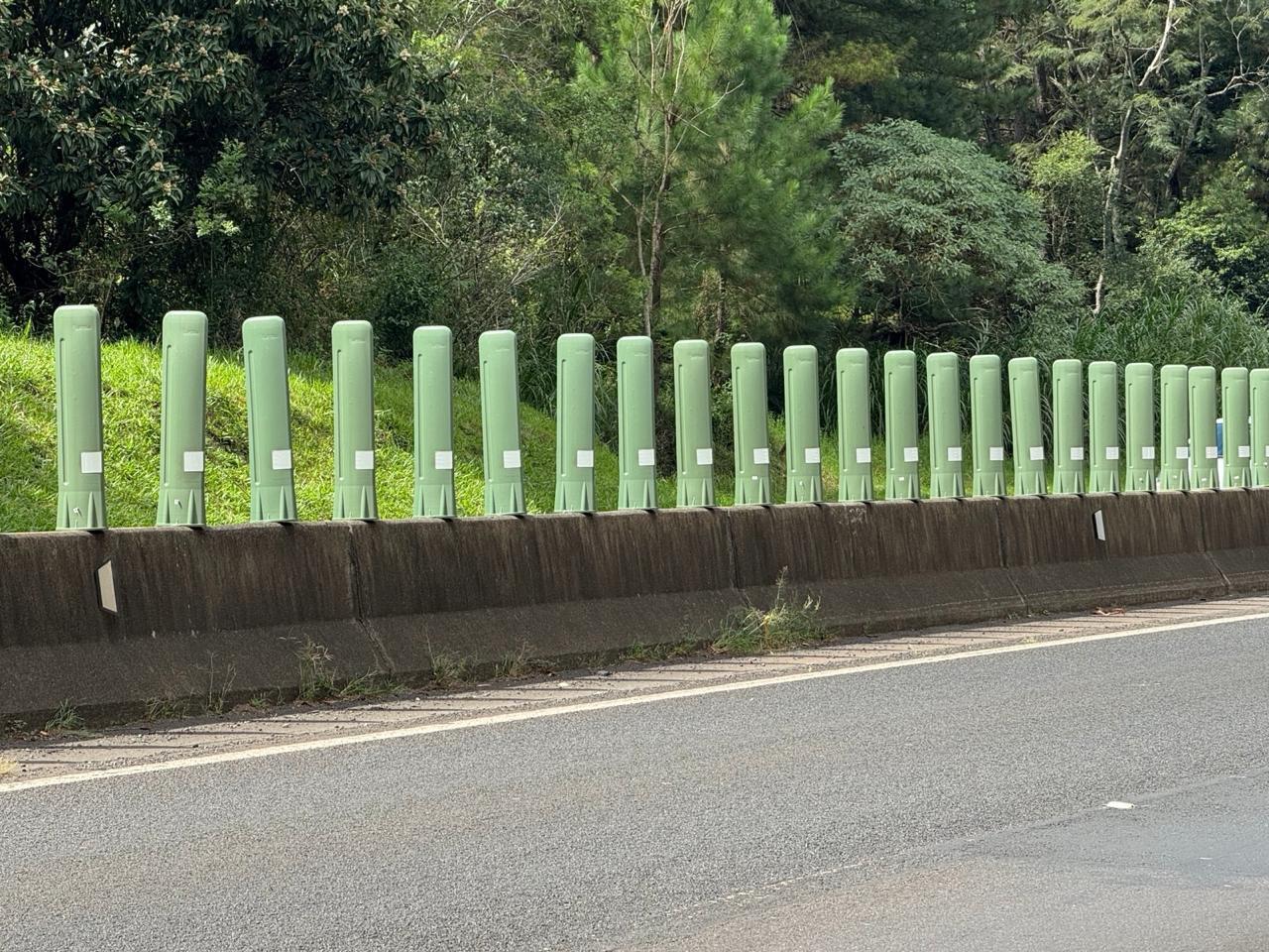 Balizadores KTELI instalados à margem de uma rodovia