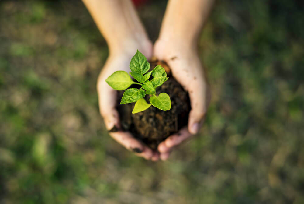 Sustentabilidade na sinalização viária começa com escolhas responsáveis.